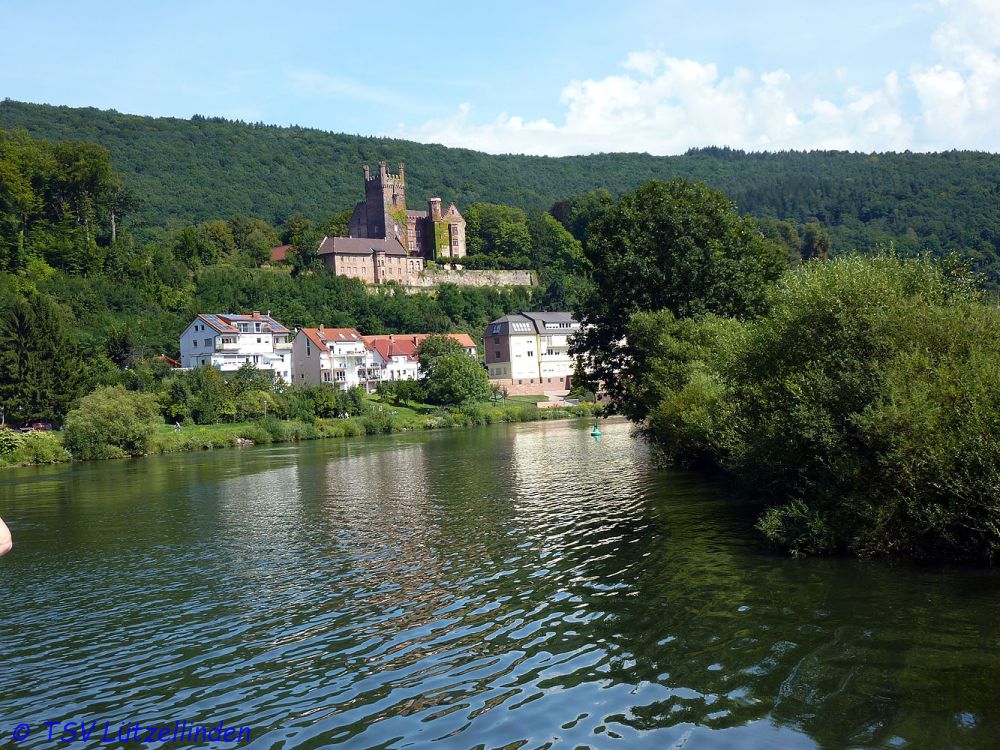 Tagesfahrt des TSV Lützellinden an den Neckar_10