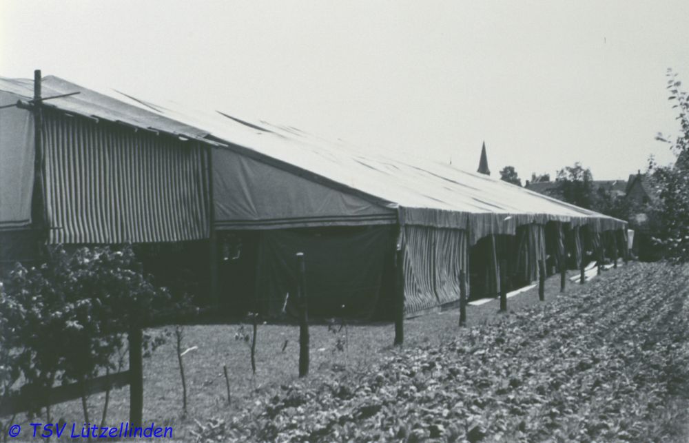 54_Festzelt-1