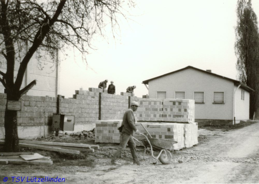 71_Halle-10