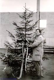 71_Halle-09