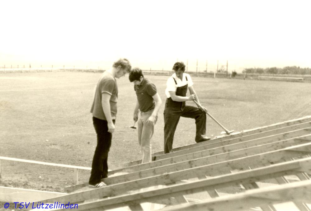 71_Halle-11