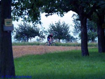 Triathlon 2007_14